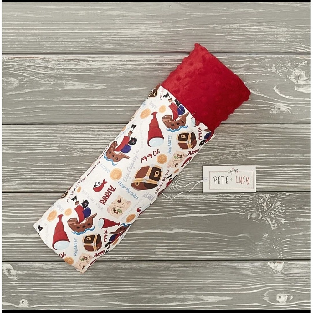 Minky Blanket By Pete And Lucy Buried Treasure NWT